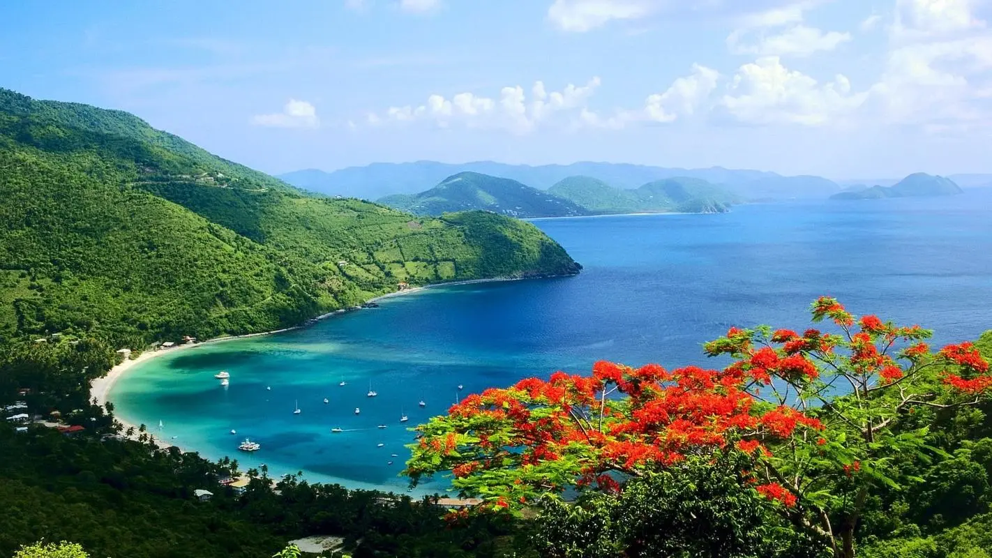 高精度全自动自动化